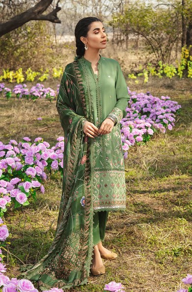 Pakistani Traditional Dress